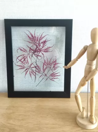 Cadre fleurs séchées 