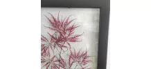 Cadre fleurs séchées 