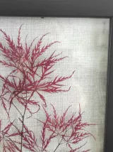 Cadre fleurs séchées 