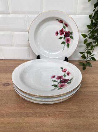 Set de 5 assiettes creuses en porcelaine