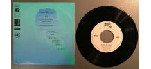 Vinyle de Pleasure Game
