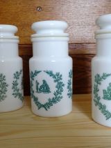 Pots d'apothicaire en opaline