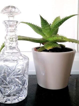 Carafe à whisky 