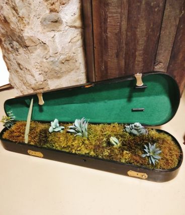 Étui à violon jardinière