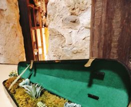 Étui à violon jardinière