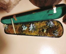 Étui à violon jardinière