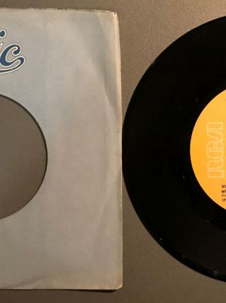 Vinyle de Vicki Sue Robinson