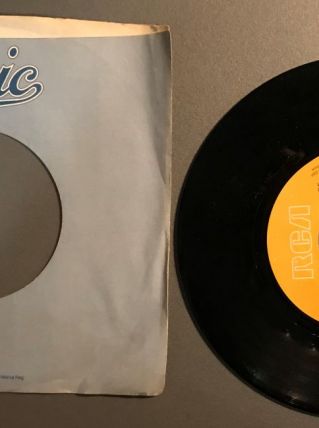 Vinyle de Vicki Sue Robinson