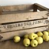 Caisse de pommes des vergers du préaux