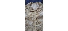 Veste en guipure de Calais