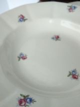 12 assiettes creuses Digoin et Sarreguemines 