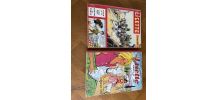 Lot de 2 albums LISETTE