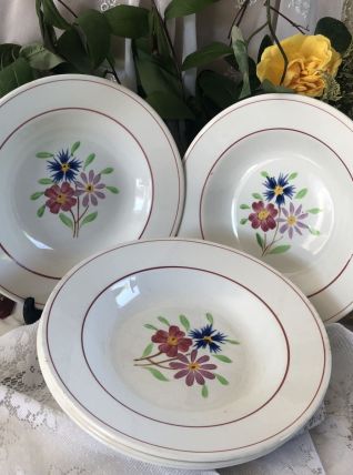 5 assiettes Ceranord St Amand