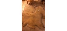 VENDS PEAUX DE MOUTON, VACHE et CHEVRE. 