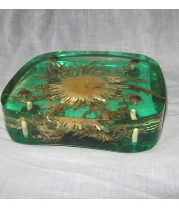 Ancien dessous de plat vintage