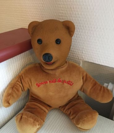 Ours bonne nuit les petits tête en plastique dure