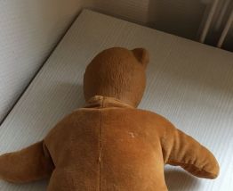 Ours bonne nuit les petits tête en plastique dure