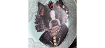 ASSIETTE DECORATIVE CHIEN  HUMANISE