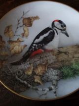 Assiette collection the bird haviland