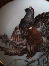 Assiette collection the bird haviland