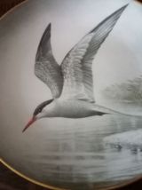 Assiette collection the bird haviland