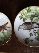 Assiette collection the bird haviland
