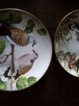 Assiette collection the bird haviland