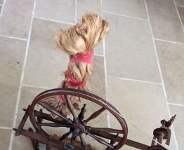 ROUET ANCIEN