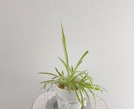 Guéridon vintage relooké
