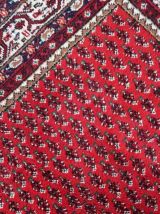 Tapis vintage Indien Seraband fait main, 1C930