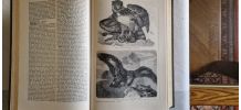 encyclopédie