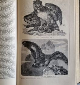 encyclopédie