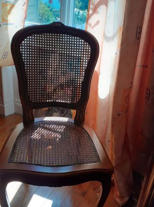 table avec 6 chaises cannées en merisier