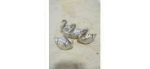 Canards porte-carte