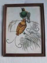 Gravure ancienne du XIX siècle 