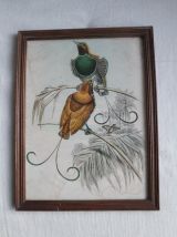 Gravure ancienne du XIX siècle 