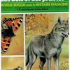 Les animaux des bois et des prairies D'AMI 1968