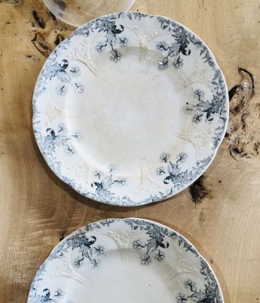 Assiettes plates