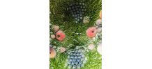 EGOUTTOIR A FRUITS EN BARBOTINE