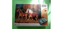 Puzzle 3 000 pièces neuf