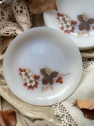 Assiettes à dessert Arcopal collection d'automne 