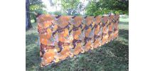 Nappe rectangulaire et ses 6 serviettes - Années 60/70