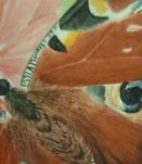 Impression de papillon sur une fleur