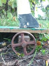 Ancien cheval à roulettes en bois 