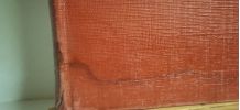 "MATCHLESS" de F. W. Niell. /  "MATCHLESS" by F. W. Niell.