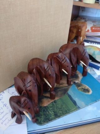 Famille Complète De 5 Éléphants Sculptés En Bois Massif -