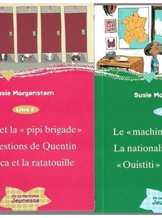 Ma boîte à histoire de Morgenstern, Susie, Mach, Delphine 