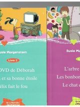 Ma boîte à histoire de Morgenstern, Susie, Mach, Delphine 
