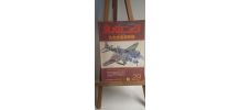 LIVRE D'AVIONS MODÈLES JAPONAIS