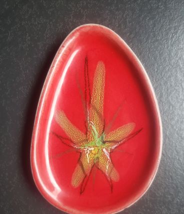 Coupelle Vallauris 